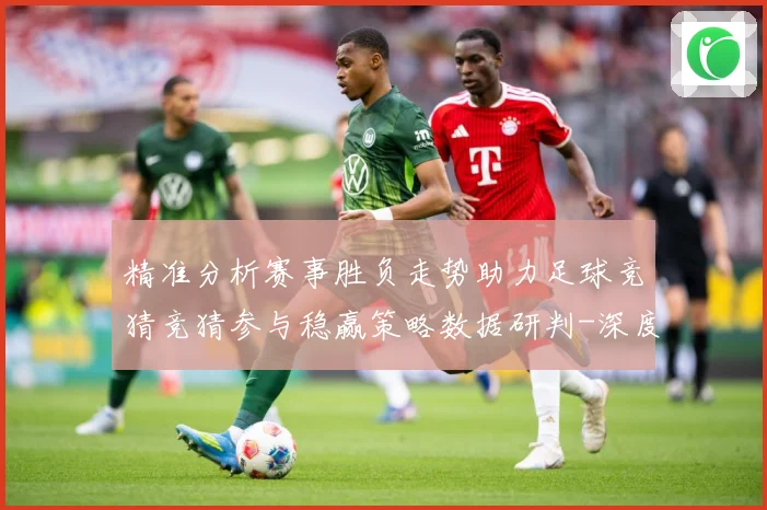 精准分析赛事胜负走势助力足球竞猜竞猜参与稳赢策略数据研判-深度解析