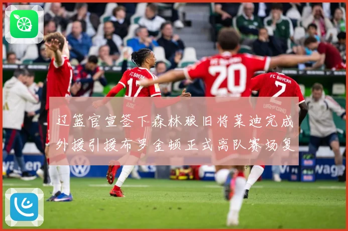 辽篮官宣签下森林狼旧将莱迪完成外援引援布罗金顿正式离队赛场复盘-深度解析