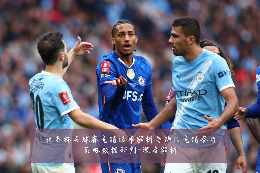 世界杯足球赛竞猜赔率解析与热门竞猜参与策略数据研判-深度解析