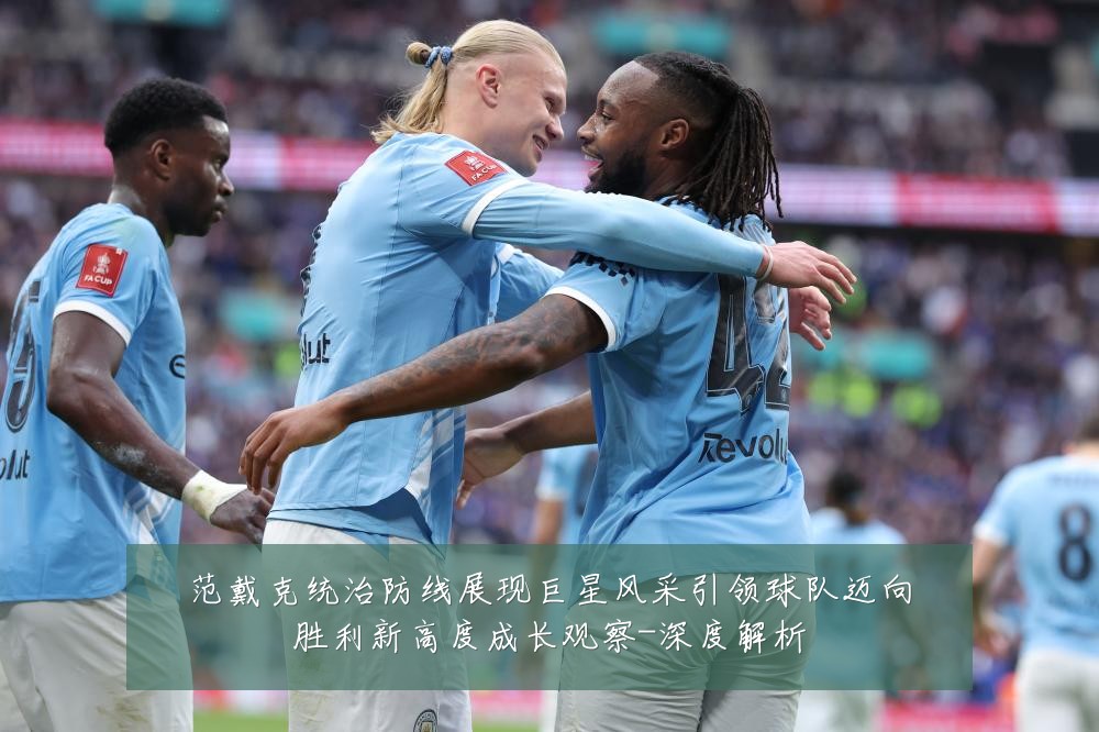 范戴克统治防线展现巨星风采引领球队迈向胜利新高度成长观察-深度解析